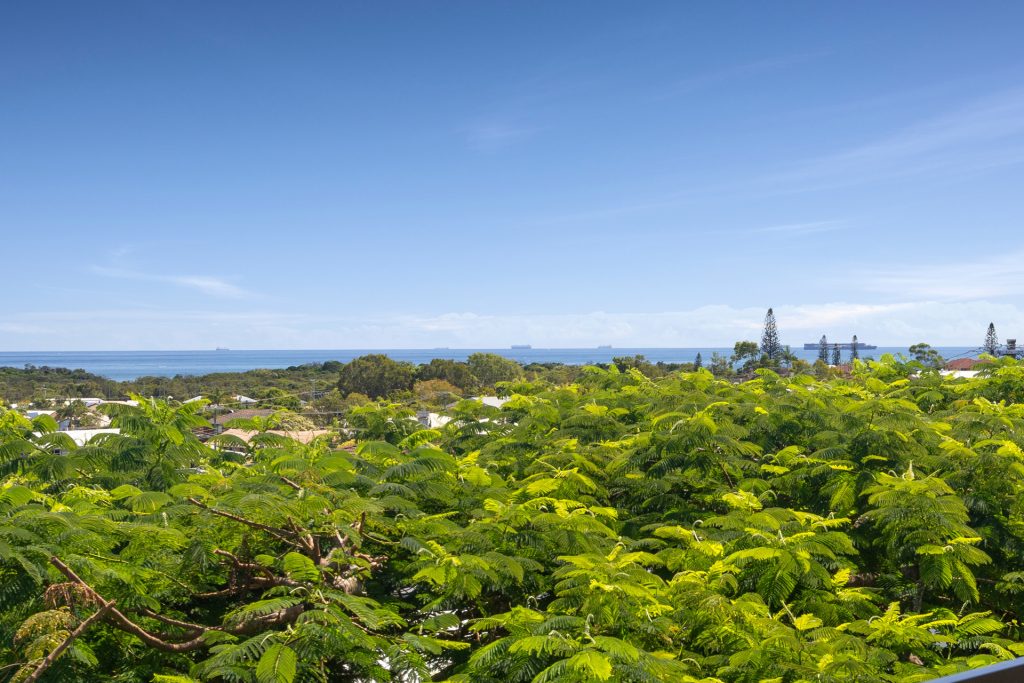 Sold - 36 Crusader Street - New Property in Battery Hill - Real Estate by 