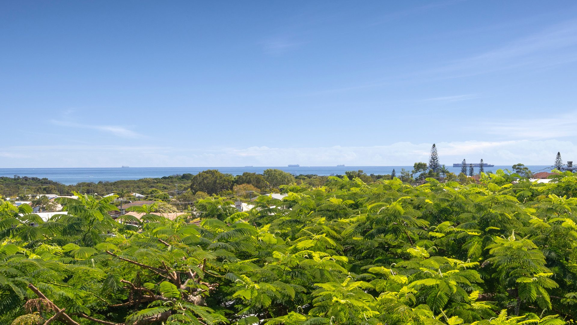 Sold - 36 Crusader Street - New Property in Battery Hill - Real Estate by 