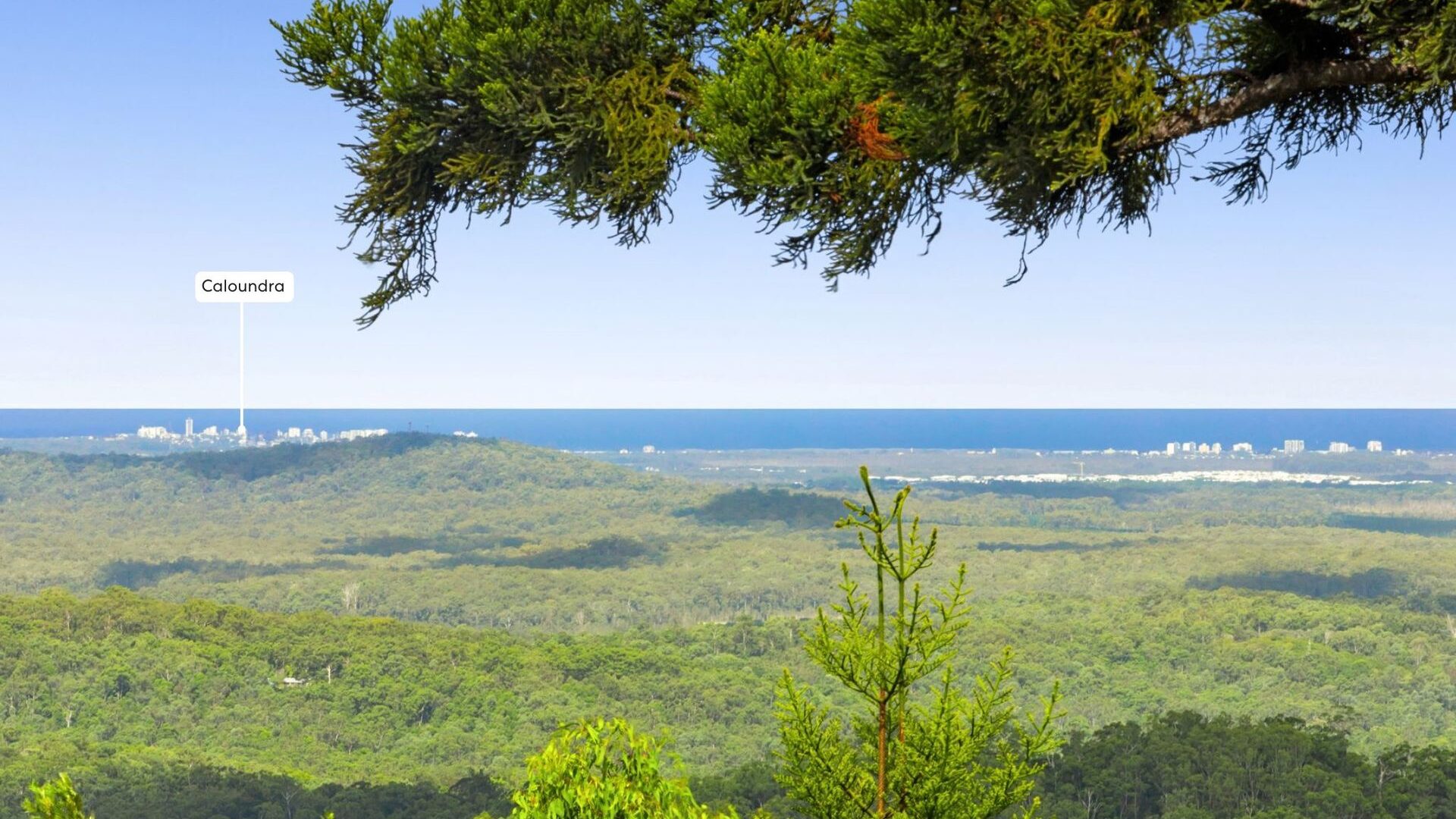 Sold - 353 Brandenburg Road - New Property in Bald Knob - Real Estate by Cassi Nuske