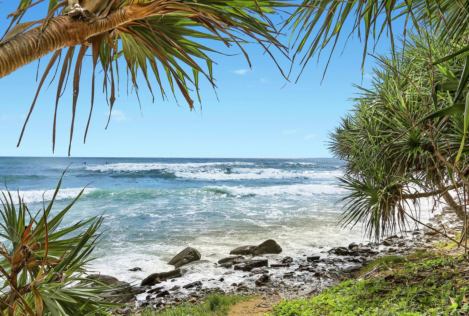 Sold - 33 Huntley Place - New Property in Caloundra West - Real Estate by 
