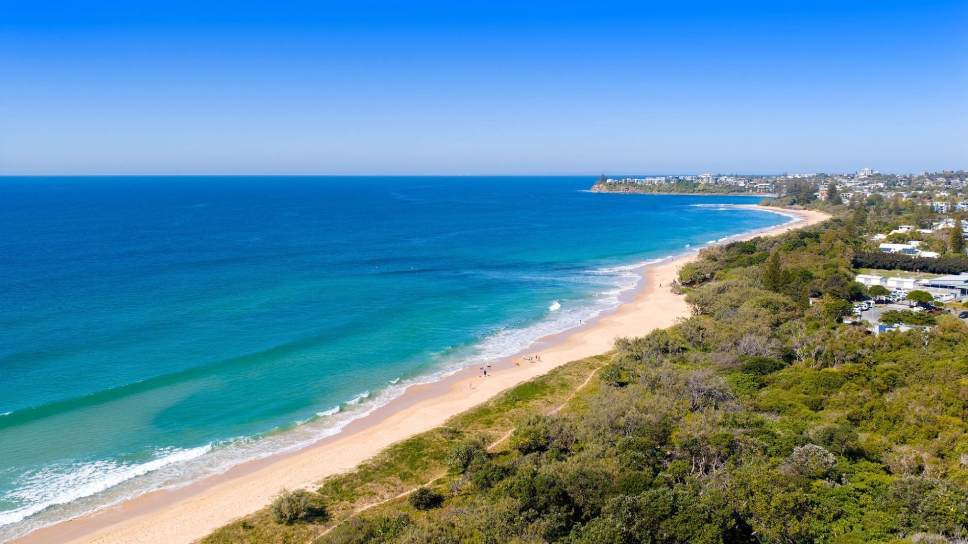 Sold - 1 Culla Culla Street - New Property in Battery Hill - Real Estate by 