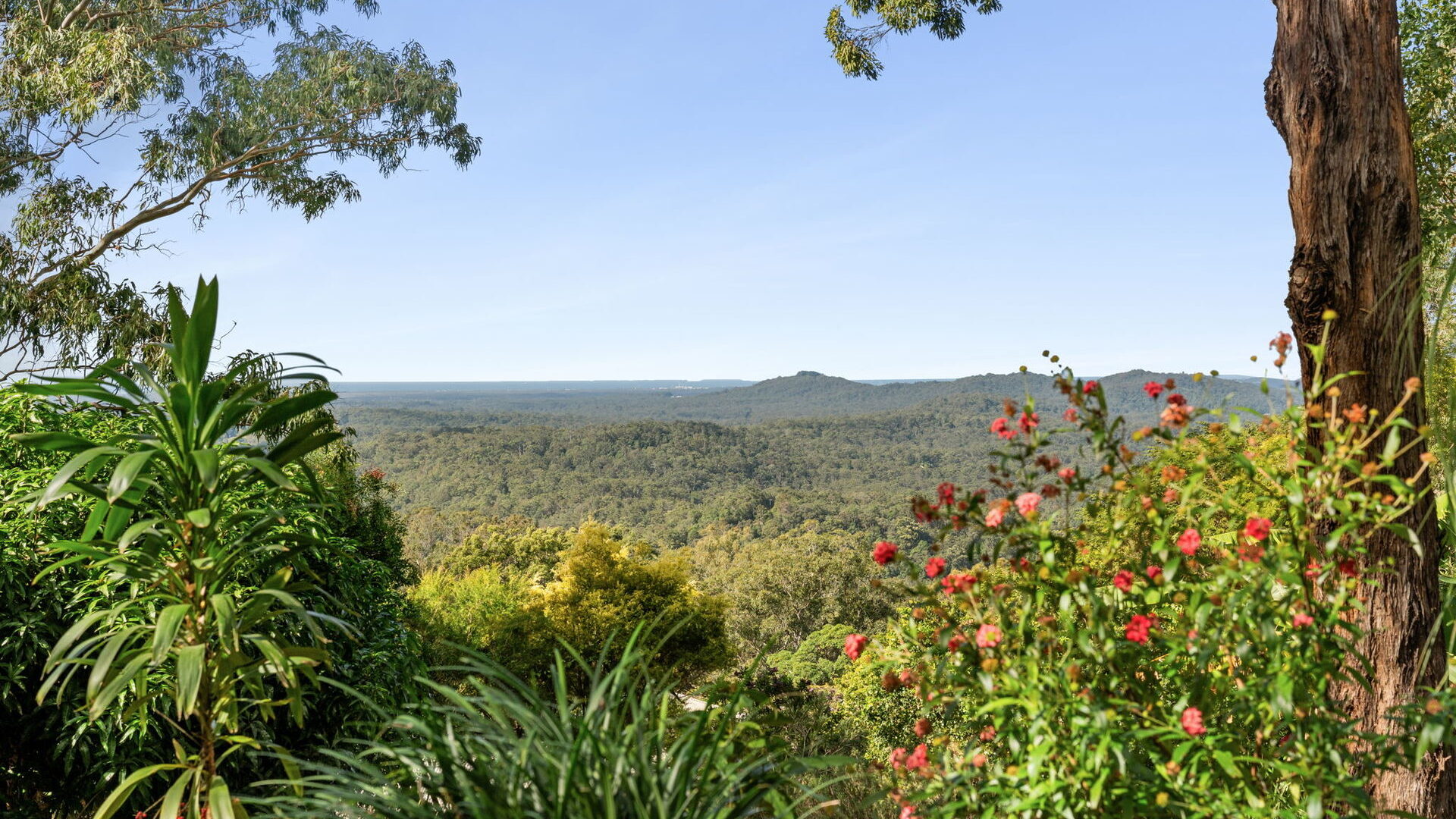 Sold - 287 Mossy Bank Road - New Property in Eudlo - Real Estate by Carinda Ivens