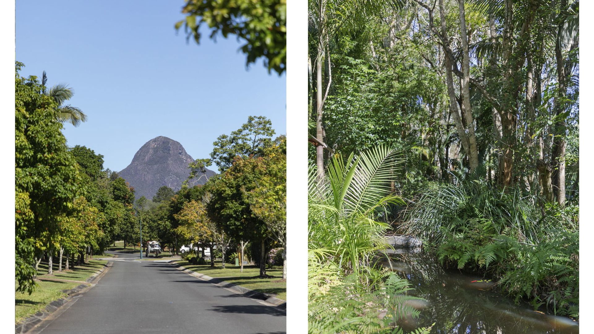 Sold - 29 Toriana Place - New Property in Beerwah - Real Estate by Cassi Nuske