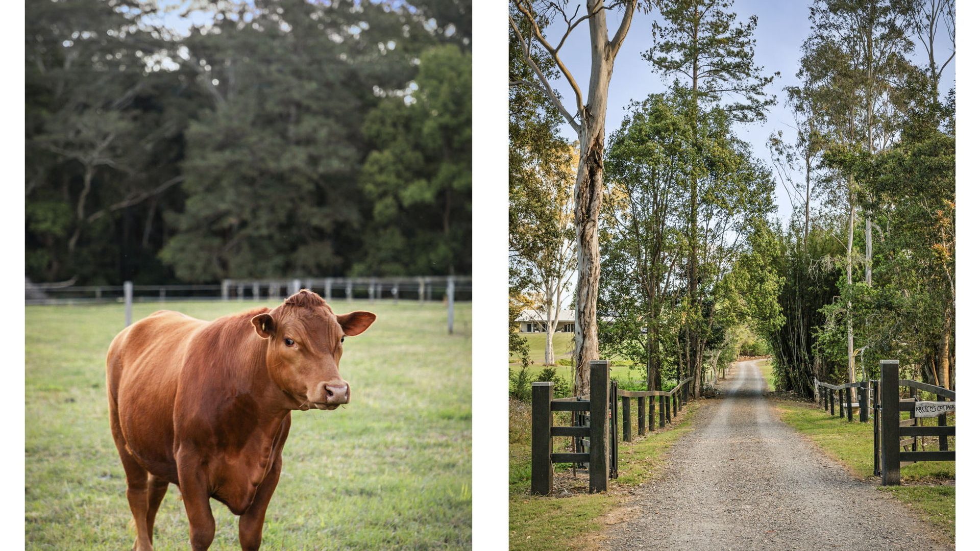 Sold - 153 Old Bowling Green Road - New Property in Palmwoods - Real Estate by David Hedley-Ward