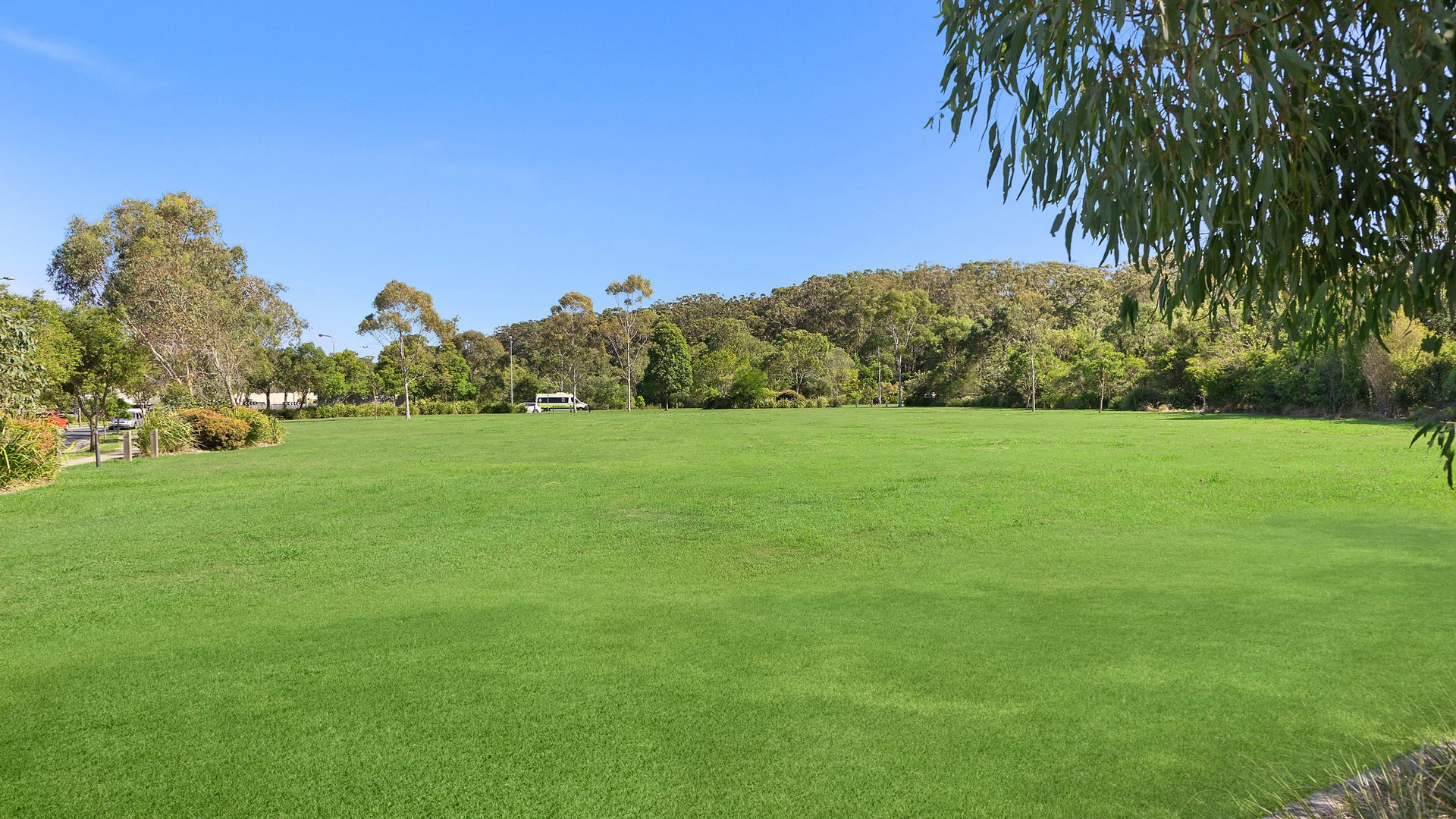 Sold - 12 Frankland Avenue - New Property in Meridan Plains - Real Estate by Nicki Colam