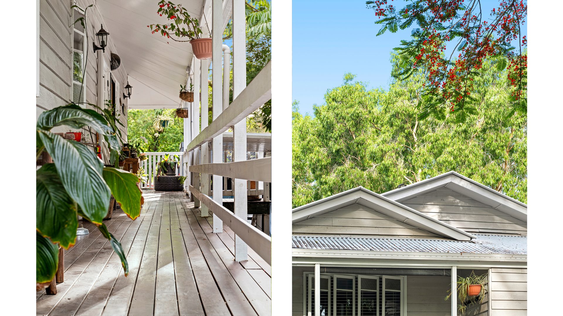 Sold - 25 Rosebed Street - New Property in Eudlo - Real Estate by Michael Fay