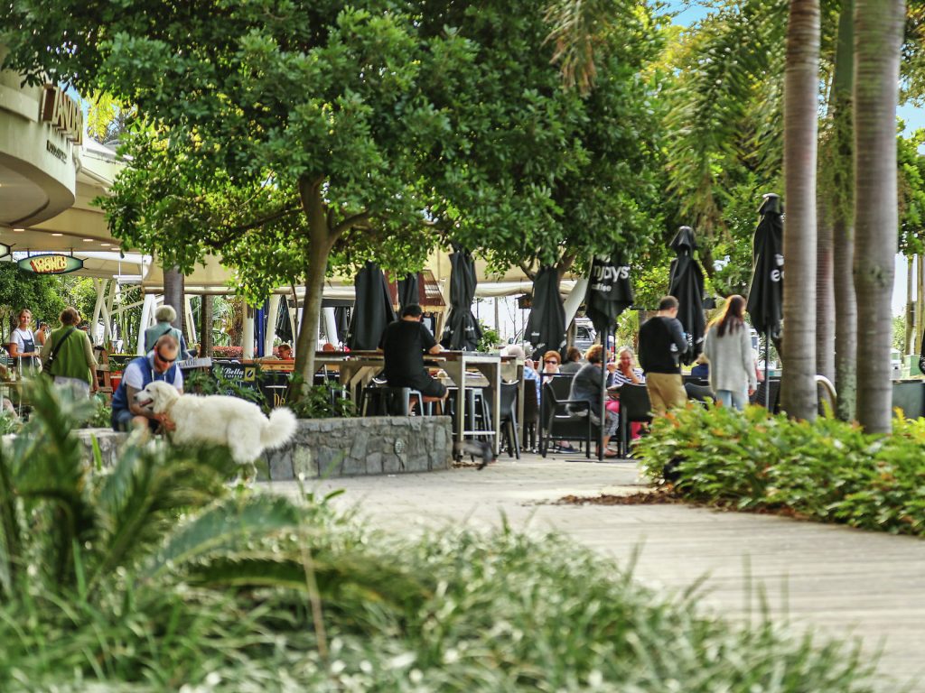 Sold - 5 Alpinia Street - New Property in Sippy Downs - Real Estate by Nicki Colam