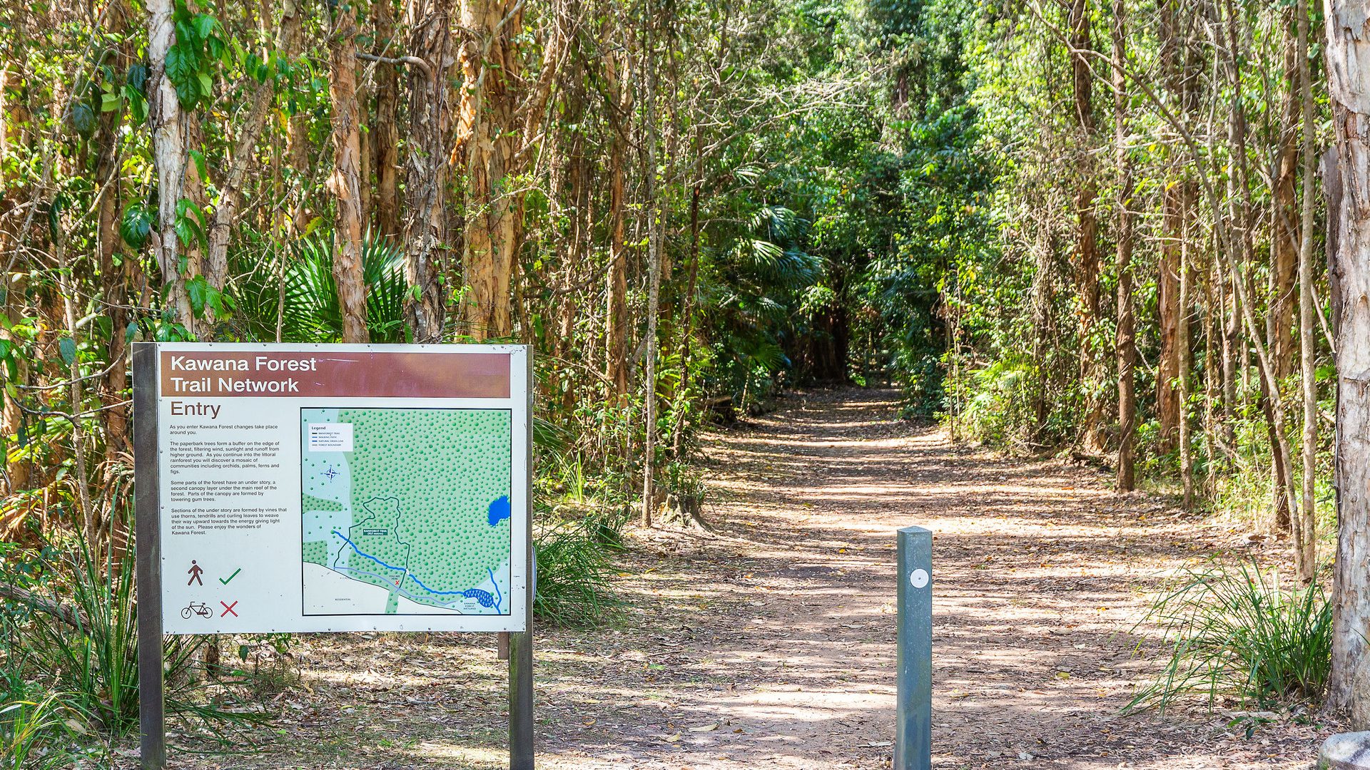 Sold - 8 Riberry Place - New Property in Meridan Plains - Real Estate by Nicki Colam