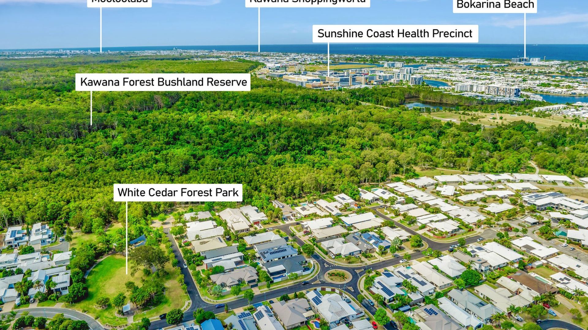 Sold - 9 Lacebark Street - New Property in Meridan Plains - Real Estate by Nicki Colam