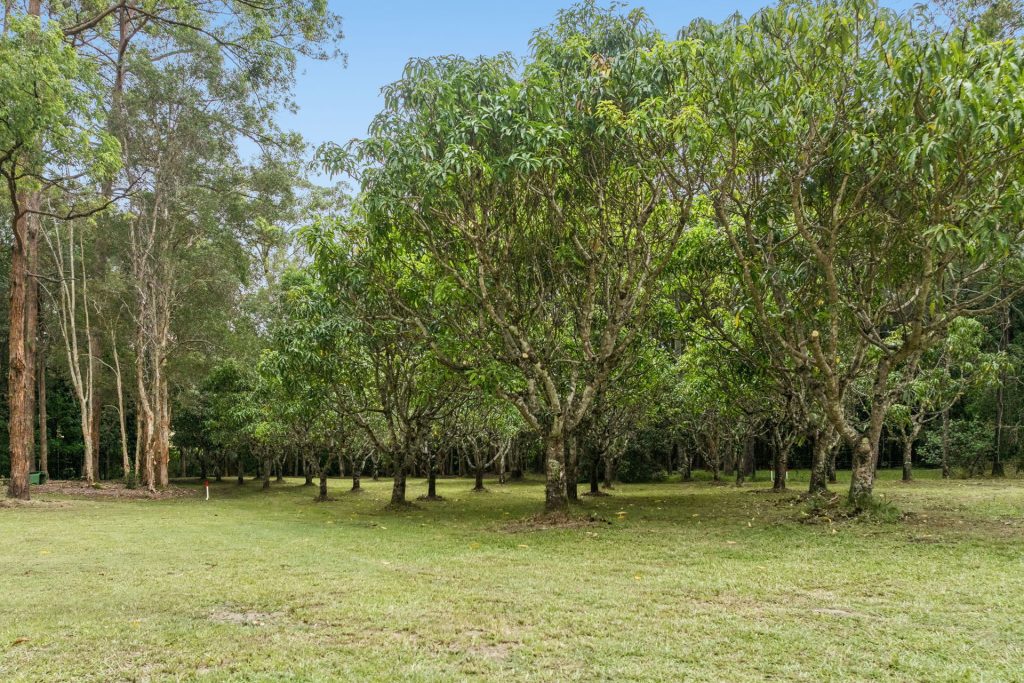 Sold - 2643 Old Gympie Road - New Property in Beerwah - Real Estate by Cassi Nuske