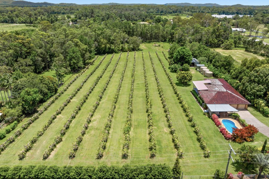 Sold - 109 Fraser Road - New Property in Beerwah - Real Estate by Cassi Nuske