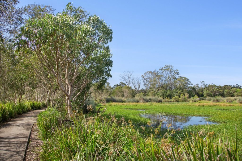 Sold - 13 Harvey Lane - New Property in Meridan Plains - Real Estate by Stephen Claassens