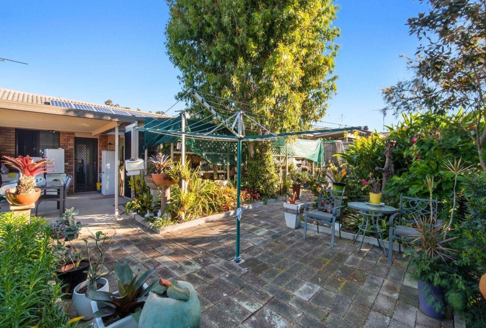 Leased - 125 Cooroora Street - New Property in Battery Hill - Real Estate by Lara Kavanagh