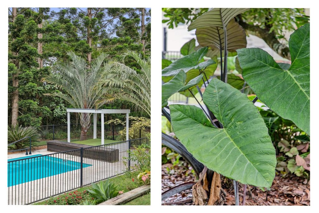 Sold - 34 Shaws Road - New Property in Beerwah - Real Estate by Cassi Nuske