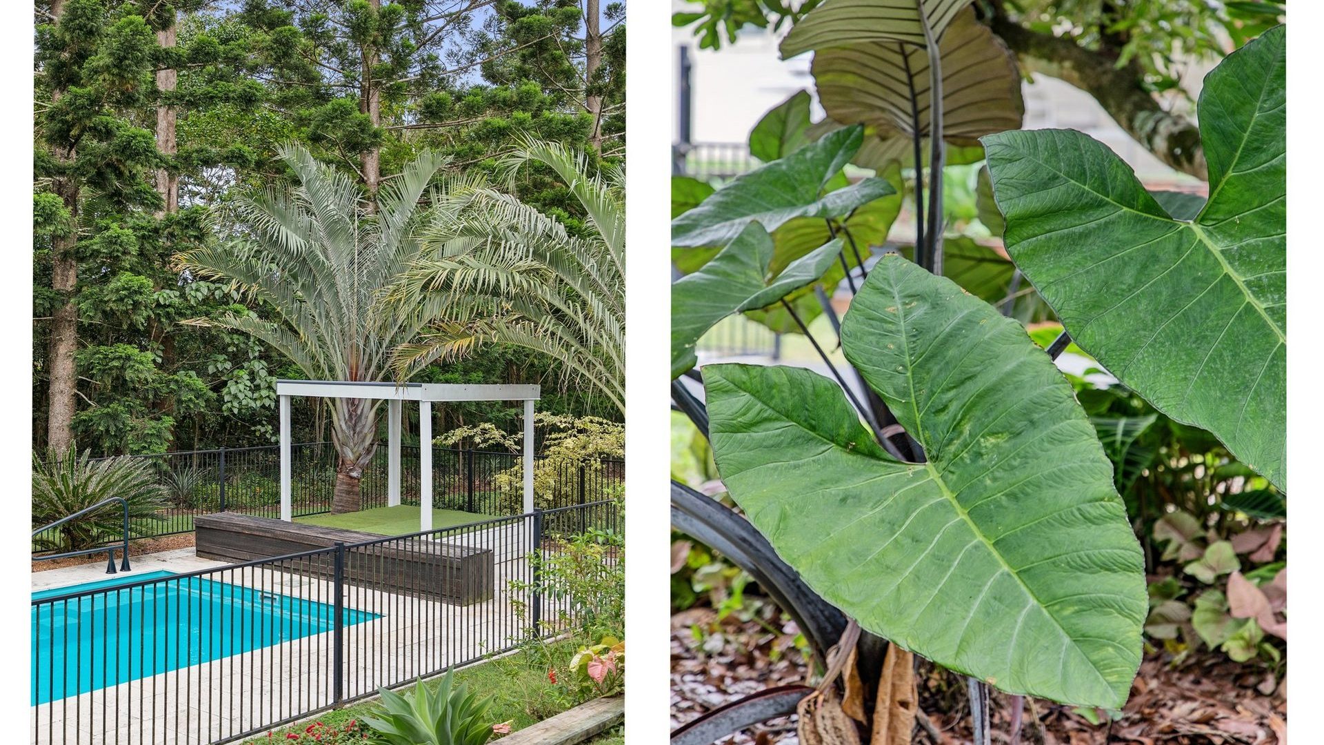 For Sale - 34 Shaws Road - New Property in Beerwah - Real Estate by Cassi Nuske