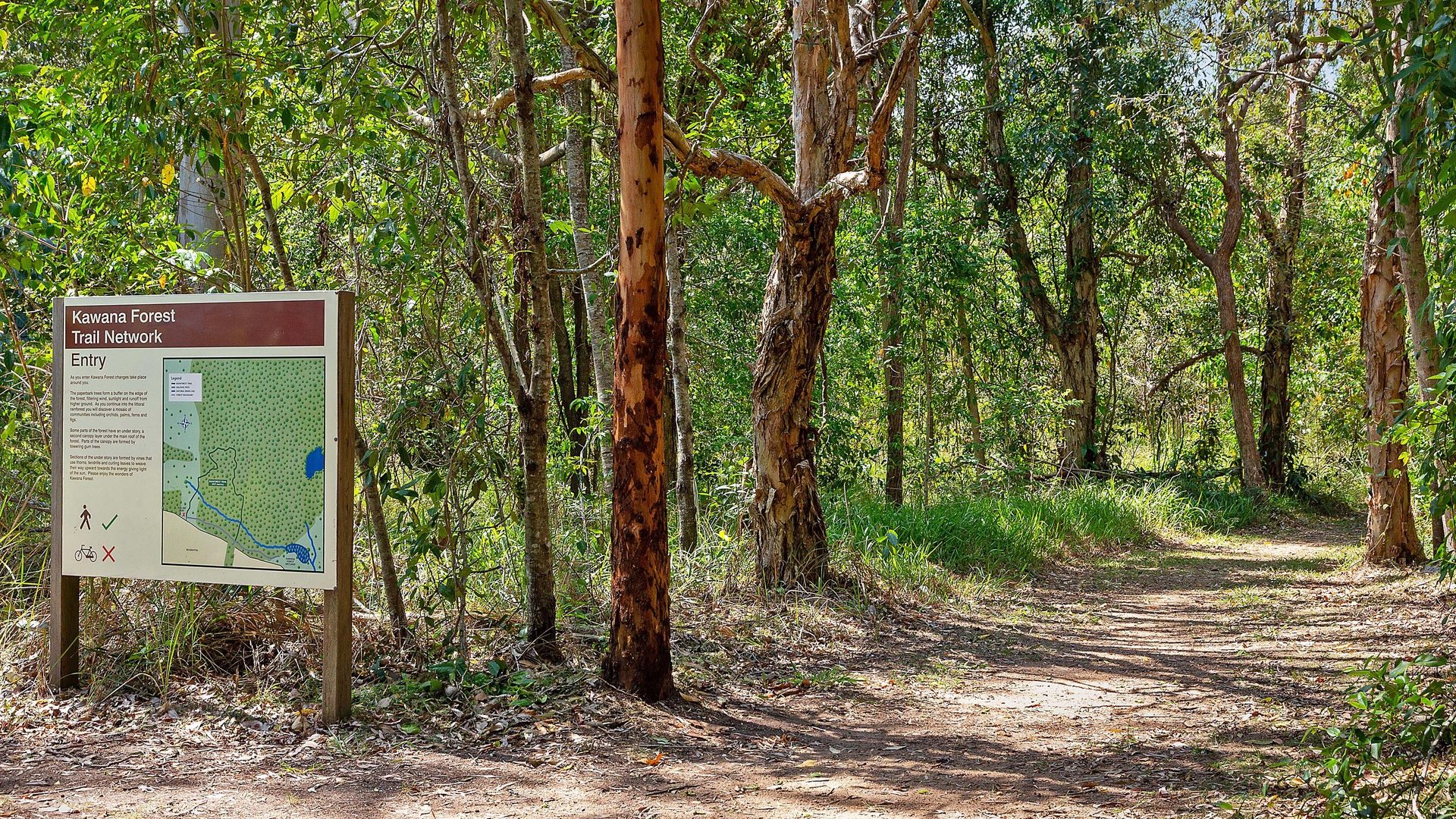 For Sale - 21 Rapanea Street - New Property in Meridan Plains - Real Estate by Nicki Colam