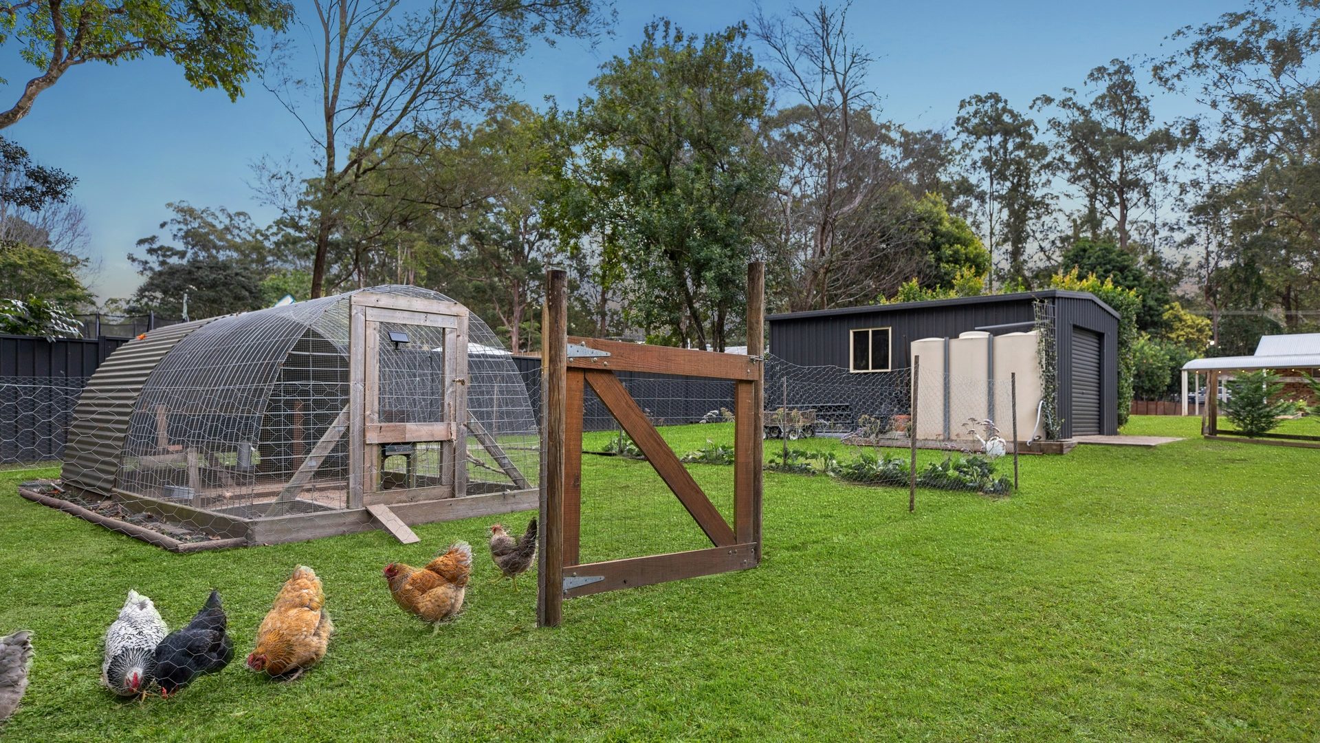For Sale - 2714 Old Gympie Road - New Property in Beerwah - Real Estate by Cassi Nuske
