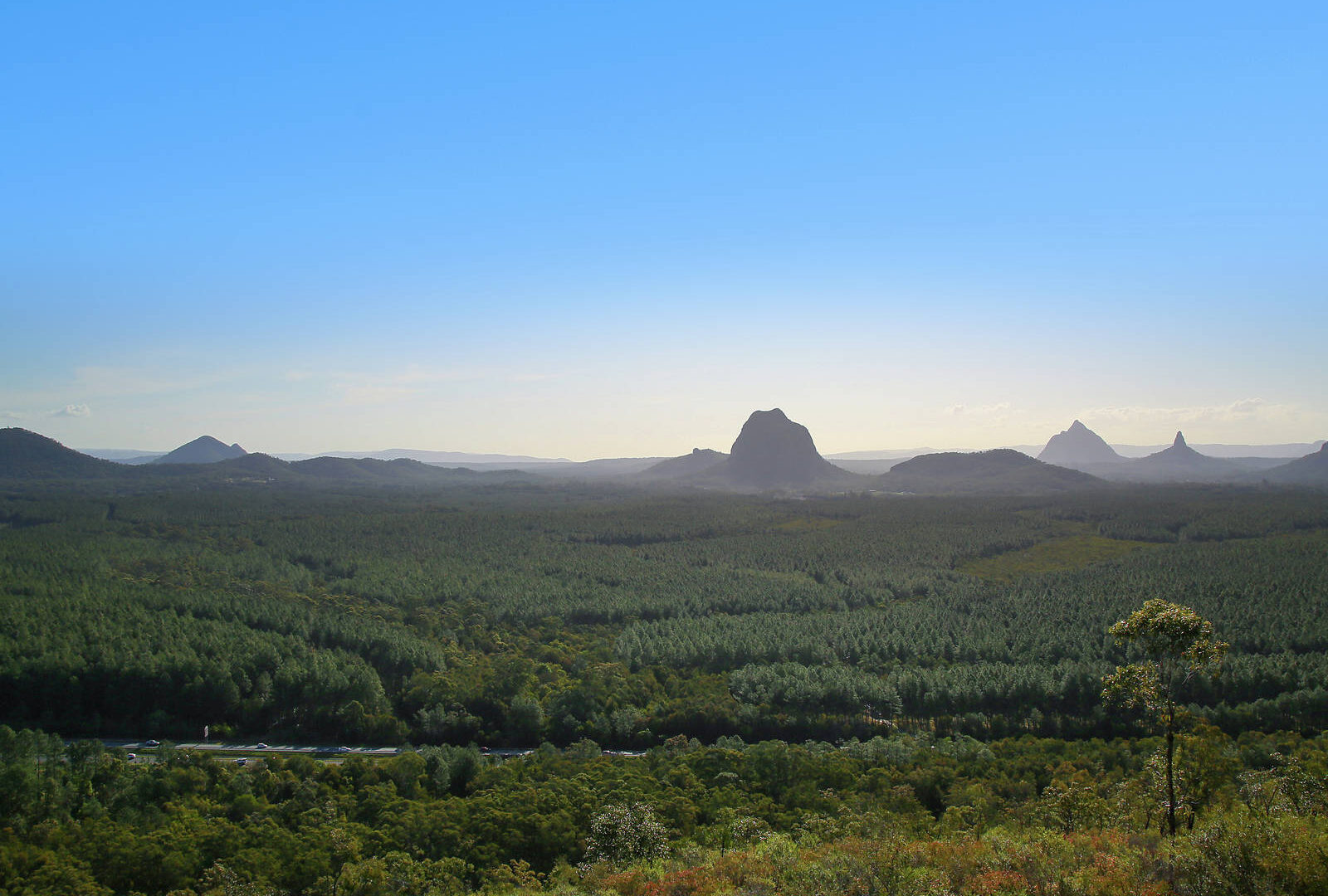 For Rent - 8 Bulic Court - New Property in Glass House Mountains - Real Estate by Lara Kavanagh