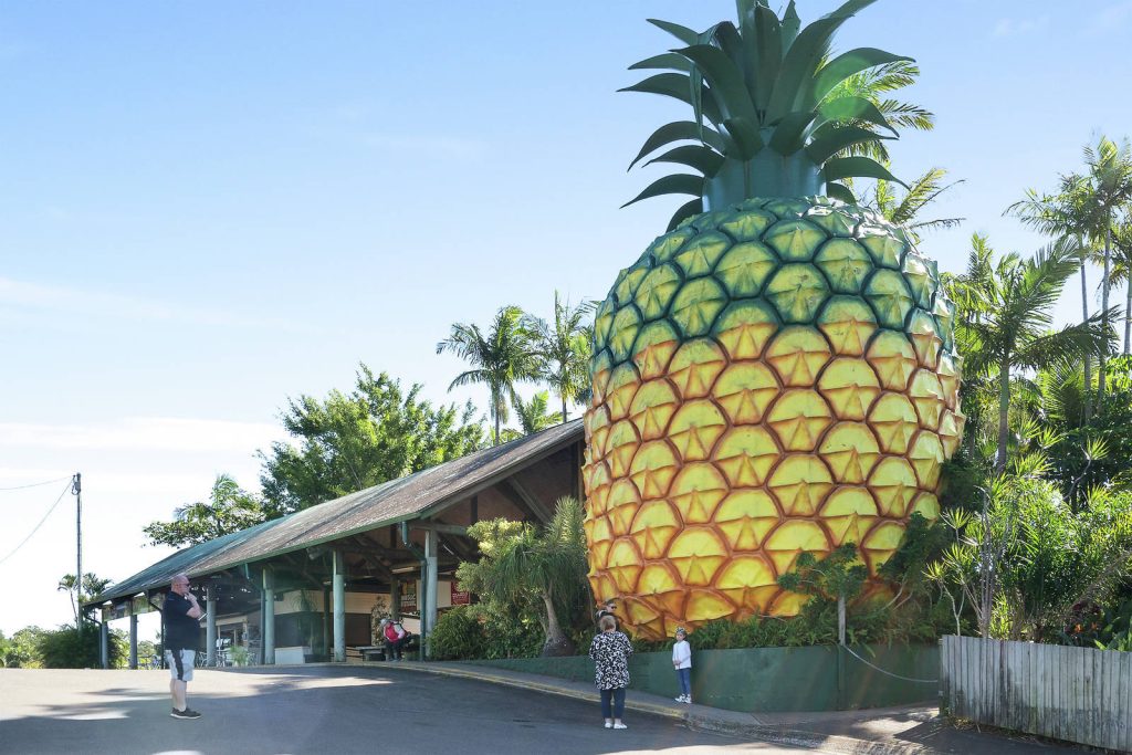 Sold - 5 Plantation Rise Drive - New Property in Woombye - Real Estate by McGrath Estate