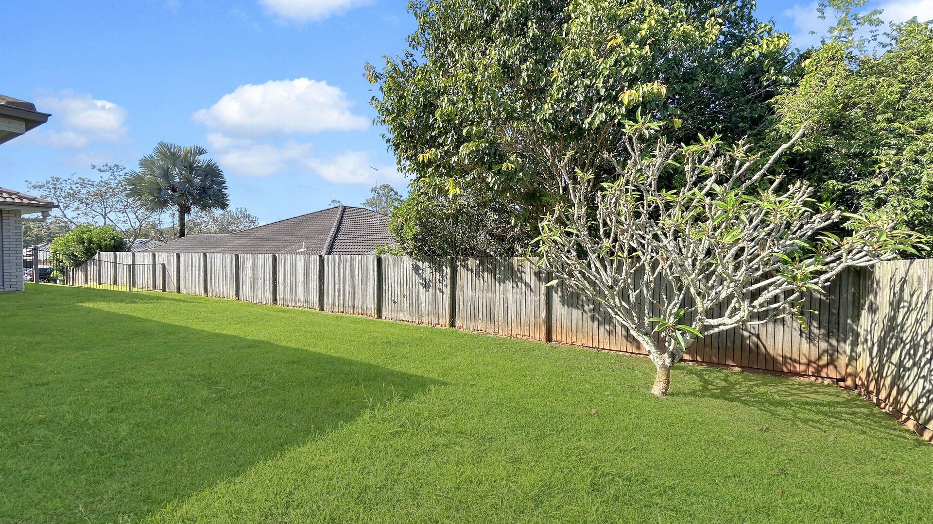 For Rent - 7 Rainbow Court - New Property in Glass House Mountains - Real Estate by Lara Kavanagh