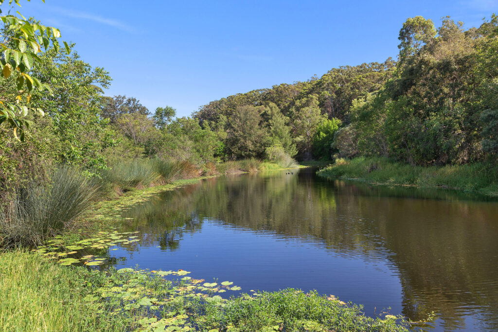 For Sale - 99 Creekwood Avenue - New Property in Meridan Plains - Real Estate by Nicki Colam