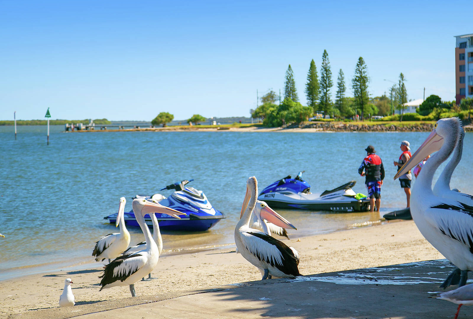 Leased - 2/2 Burke Street - New Property in Golden Beach - Real Estate by Lara Kavanagh