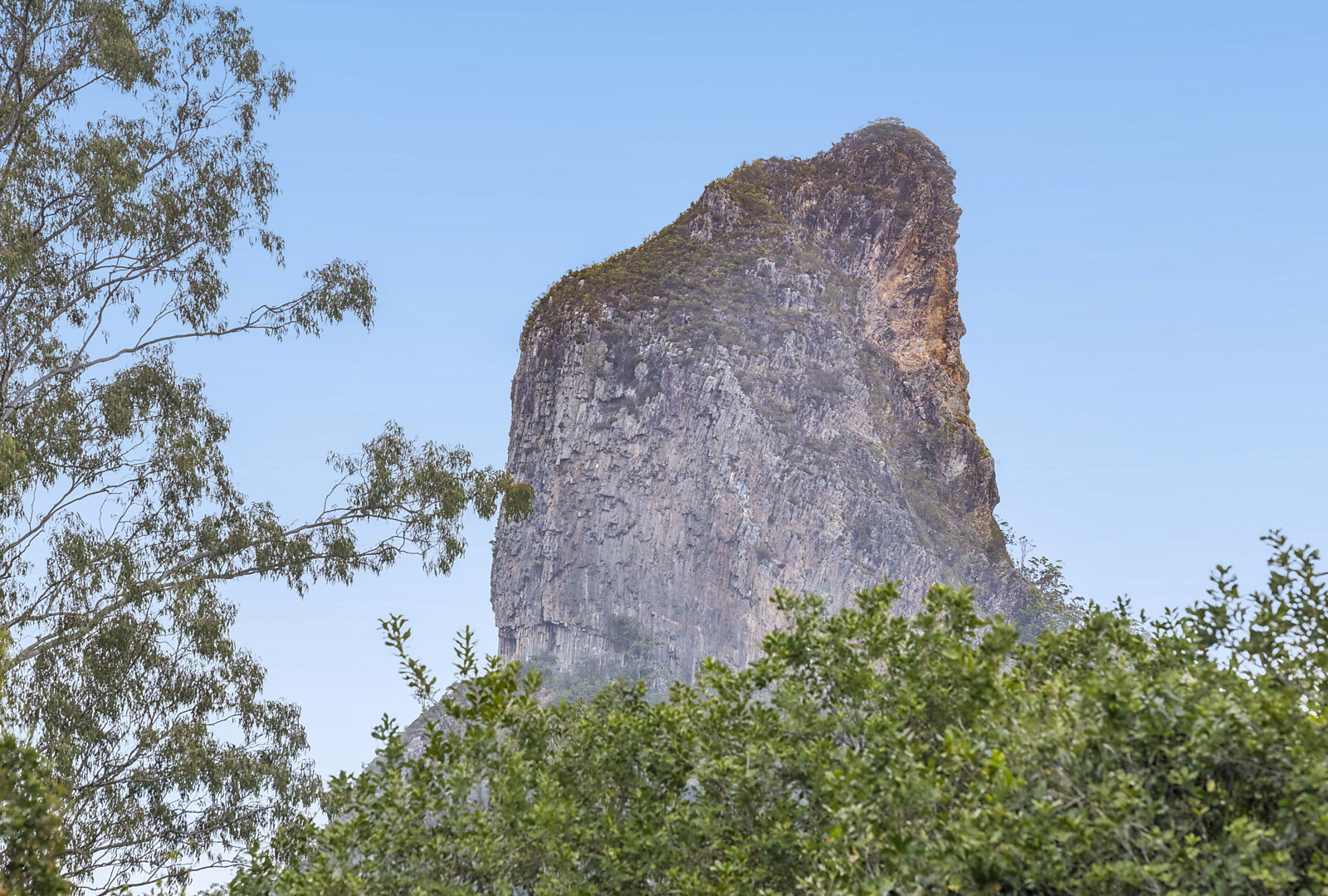 For Sale - 371 Sahara Road - New Property in Glass House Mountains - Real Estate by Jo Daley
